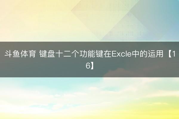 斗鱼体育 键盘十二个功能键在Excle中的运用【16】