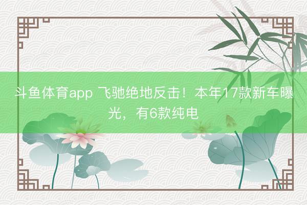 斗鱼体育app 飞驰绝地反击！本年17款新车曝光，有6款纯电