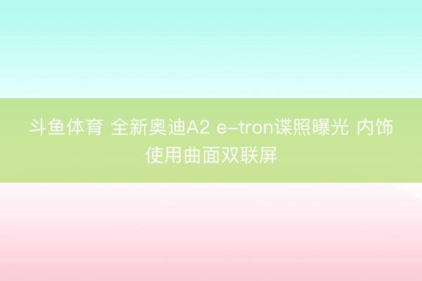 斗鱼体育 全新奥迪A2 e-tron谍照曝光 内饰使用曲面双联屏