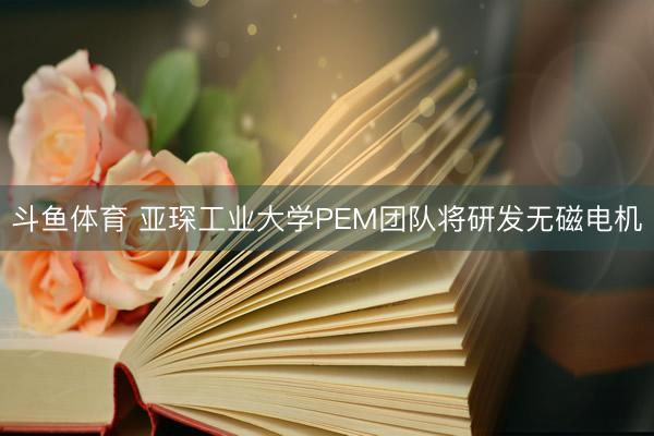 斗鱼体育 亚琛工业大学PEM团队将研发无磁电机