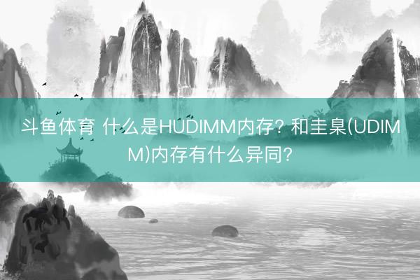 斗鱼体育 什么是HUDIMM内存? 和圭臬(UDIMM)内存有什么异同?