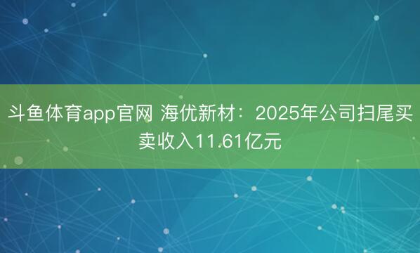 斗鱼体育app官网 海优新材：2025年公司扫尾买卖收入11.61亿元