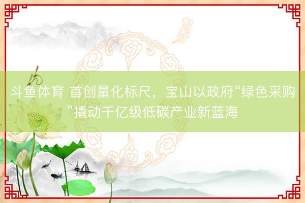 斗鱼体育 首创量化标尺，宝山以政府“绿色采购”撬动千亿级低碳产业新蓝海